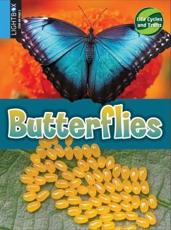 Butterflies - Hutmacher, Kimberly M