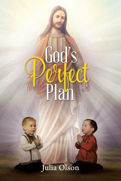 God's Perfect Plan - Olson, Julia