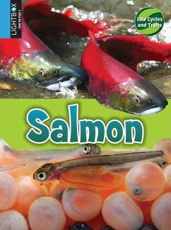 Salmon - Hutmacher, Kimberly M