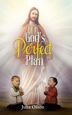 God's Perfect Plan - Olson, Julia