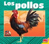 Los Pollos (Chickens)