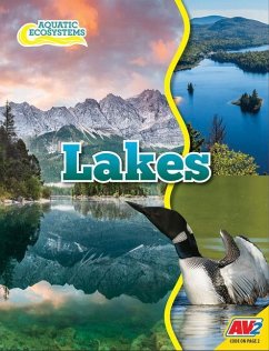 Lakes - Willis, John