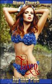 Taken By The Fae (eBook, ePUB)