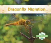 Dragonfly Migration