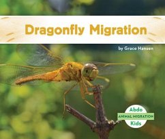 Dragonfly Migration - Hansen, Grace