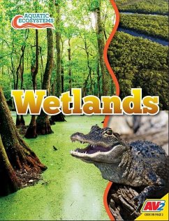 Wetlands - Willis, John