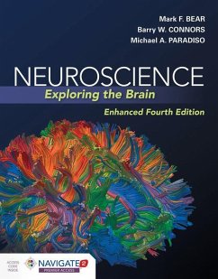 Neuroscience: Exploring The Brain, Enhanced Edition - Bear, Mark; Connors, Barry; Paradiso, Michael A.
