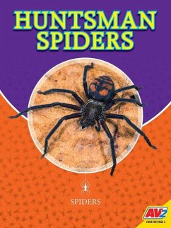 Huntsman Spiders - Willis, John