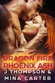 Dragon Fire and Phoenix Ash (Dragon's Council, #5) (eBook, ePUB)