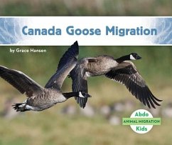 Canada Goose Migration - Hansen, Grace