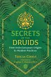 Secrets of the Druids - Bild 1