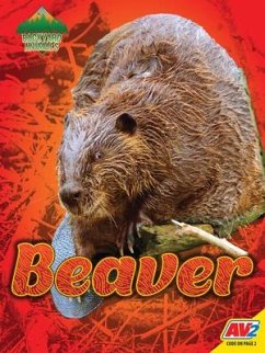 Beaver - Wiseman, Blaine