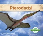 Pterodactyl