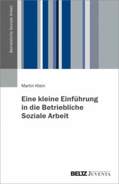 Eine kleine Einführung in die Betriebliche Soziale / Betriebliche Soziale Arbeit Bd.1 - Klein, Martin