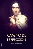 Camino de perfección (eBook, ePUB)