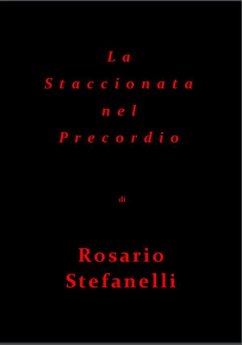 Cover La Staccionata nel Precordio (eBook, ePUB)