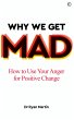 Why We Get Mad (eBook, ePUB) - Bild 1
