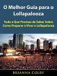 O Melhor Guia para o Lollapalooza... - Bild 1