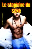 Le stagiaire du sexe (eBook, ePUB)