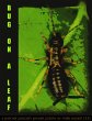 Bug on a Leaf (eBook, ePUB) - Bild 1