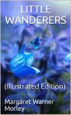 Little Wanderers (eBook, ePUB)