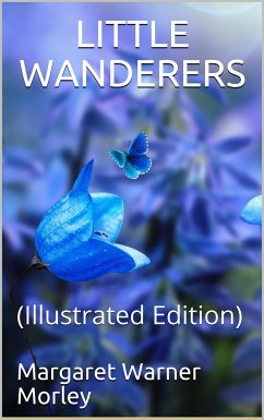 Little Wanderers (eBook, ePUB) - Warner Morley, Margaret