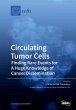 Circulating Tumor Cells - Bild 1