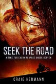 Seek The Road (eBook, ePUB)