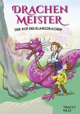 Der Ruf des Klangdrachen / Drachenmeister Bd.16