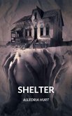 Shelter (eBook, ePUB) Shelter (eBook, ePUB)