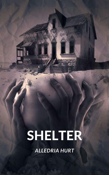 Shelter (eBook, ePUB)