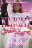 Knight In Chrome Armor 2 (eBook, ePUB)