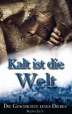 Kalt ist die Welt (eBook, ePUB)