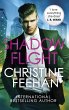 Shadow Flight (eBook, ePUB) - Bild 1