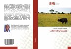 Le Rêve Burkinabè