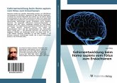 Gehirnentwicklung beim Homo sapiens vom Fötus zum Erwachsenen