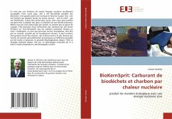 BioKernSprit: Carburant de biodéchets et charbon par chaleur nucléaire - Michels, Jochen