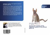 Anatomical studies of the digestive system of the african giant rat