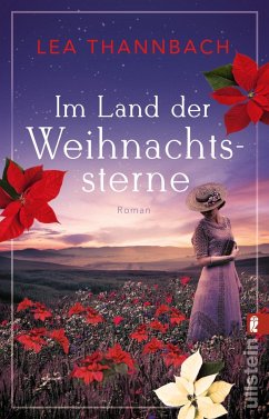 Im Land der Weihnachtssterne / Weihnachtsstern-Saga Bd.1 - Thannbach, Lea