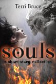 Souls (eBook, ePUB)
