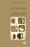 Le 12 Lune (eBook, ePUB)
