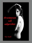 Brustwarzen voll aufgerichtet (eBook, ePUB)