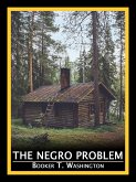 The Negro Problem (eBook, ePUB)