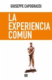 La experiencia común (eBook, PDF)