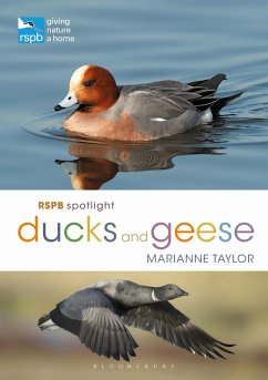 RSPB Spotlight Ducks and Geese (eBook, ePUB) - Taylor, Marianne