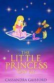 The Little Princess Can Fly (eBook, ePUB)