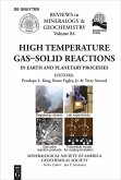 High Temperature Gas-Solid Reactions in Earth and Planetary Processes (eBook, PDF)