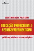 Educação profissional e neodesenvolvimentismo (eBook, ePUB)
