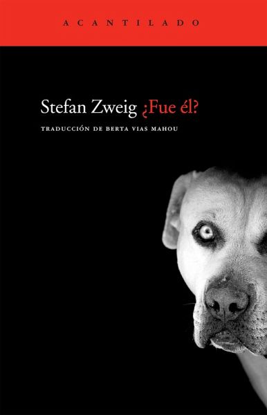¿Fue él? (eBook, ePUB) ¿Fue él? (eBook, ePUB)