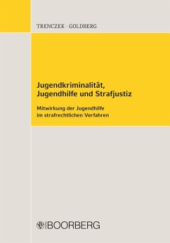 Jugendkriminalität, Jugendhilfe und Strafjustiz (eBook, PDF) - Trenczek, Thomas; Goldberg, Brigitta